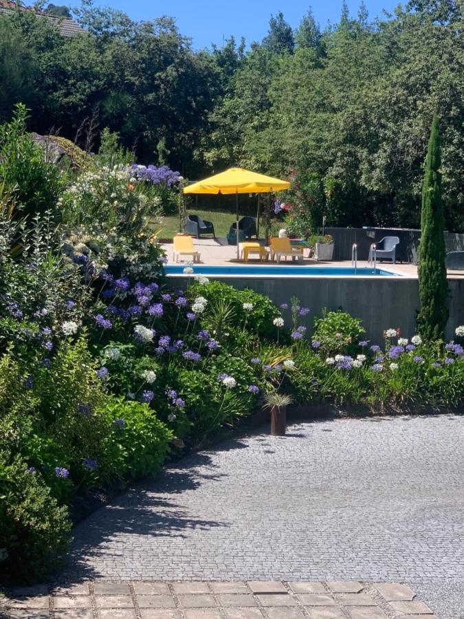 Casa Da Lapa Βίλα Paredes de Coura Εξωτερικό φωτογραφία